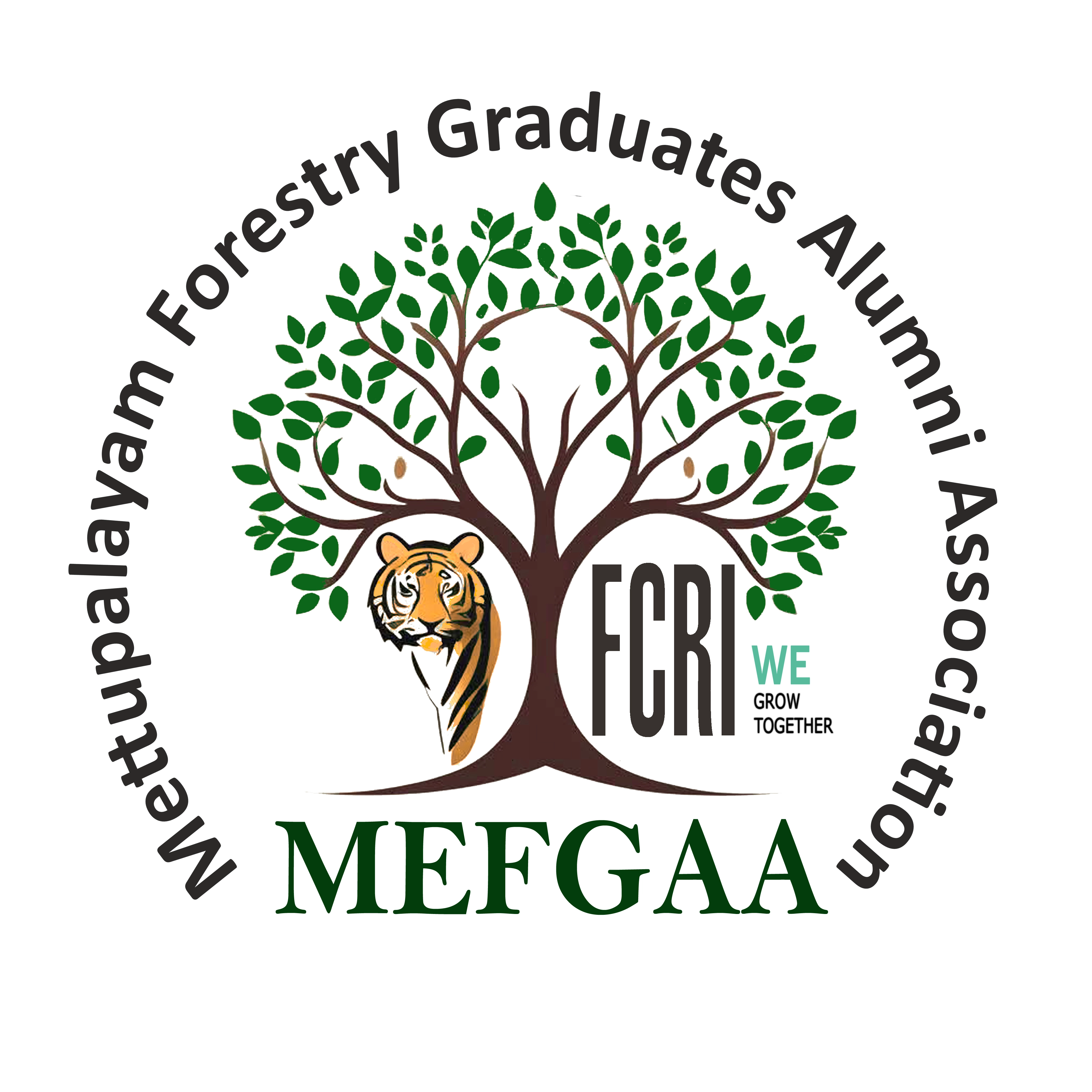 MEFGAA Logo